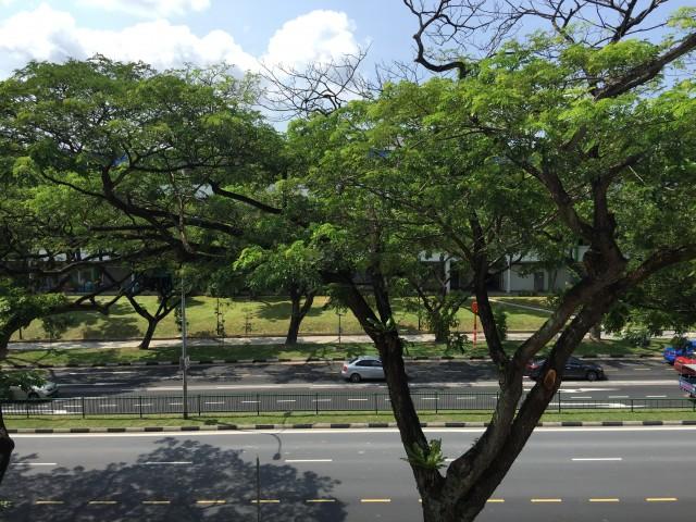 Blk 108 Hougang Avenue 1 (Hougang), HDB 3 Rooms #125247962